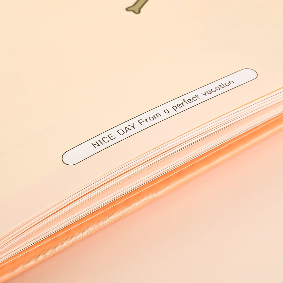 1745396900-5
