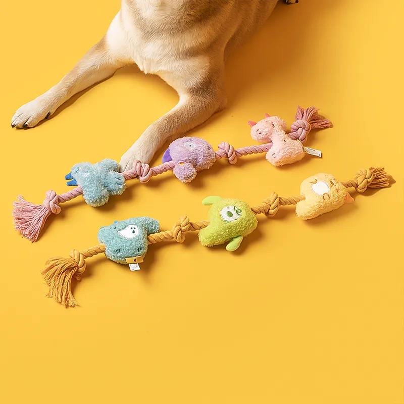 Pet Toys The Achieving Success Series-Colorful